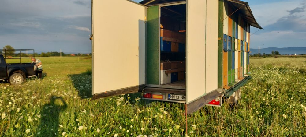 Vand pavilion apicol