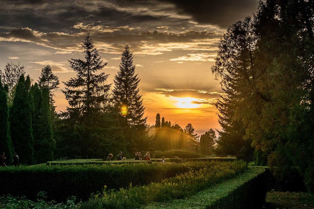 Fotografii si albume foto de produs, culinare, STUDIO foto AUTO