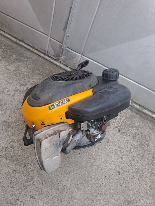 Motor masina de tuns iarba