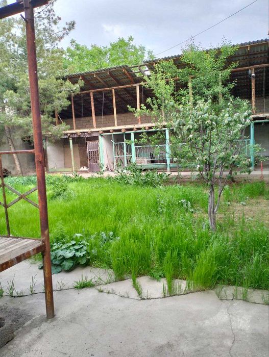 O'zimni uchastkam sotiladi. 6 sotix 4 hona Yangi UZBEKISTON!