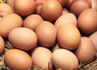 Oua proaspete și sănătoase