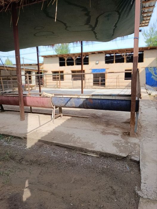 Uy /fema 8 sotix 3 ta xona oshxona