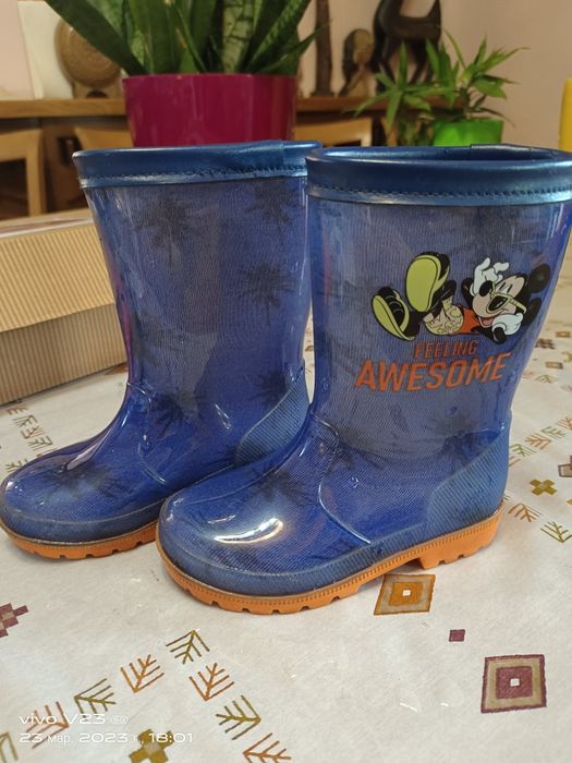Сапоги детские резиновые