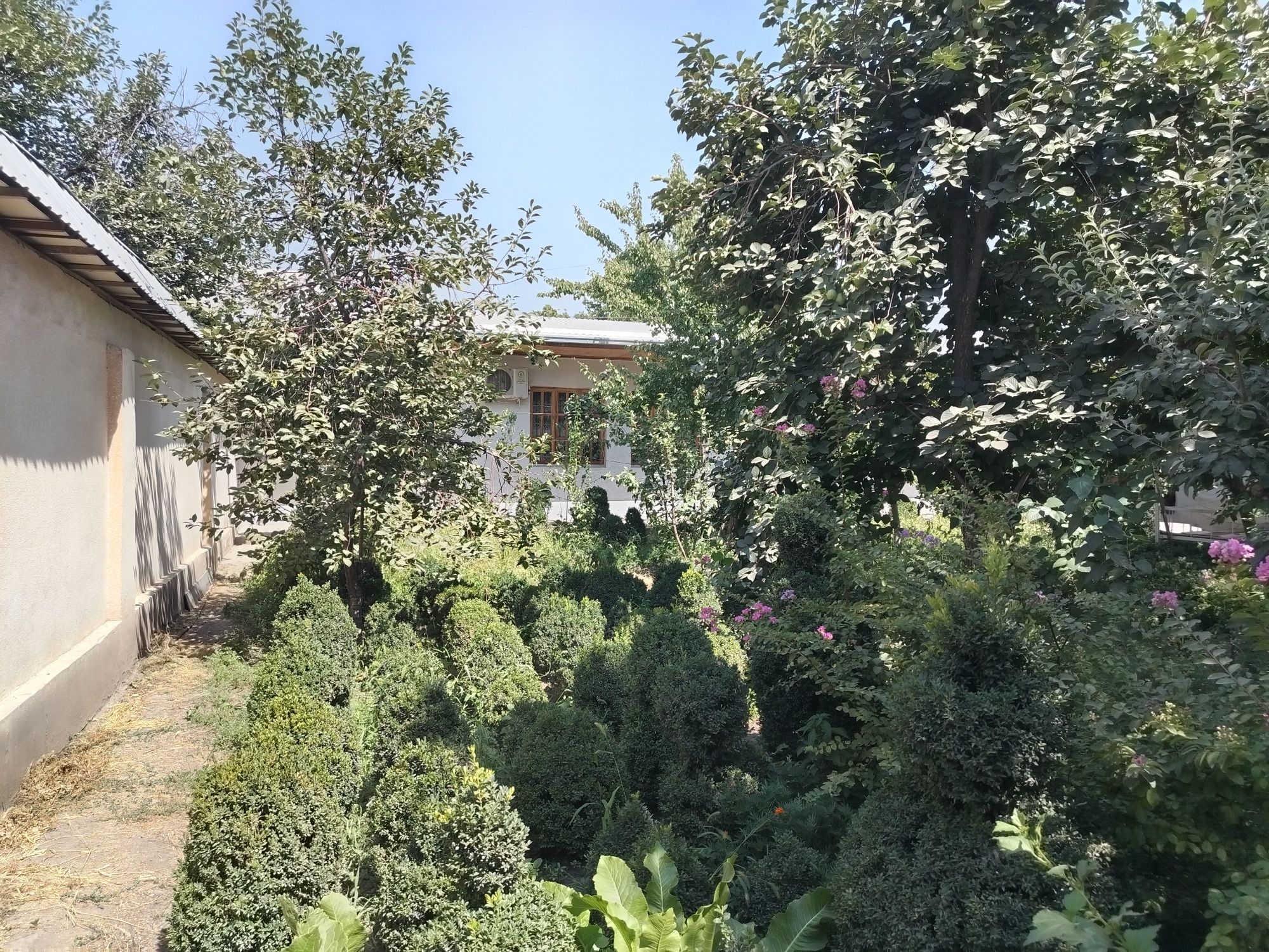 Продам участок 5 соток с домом