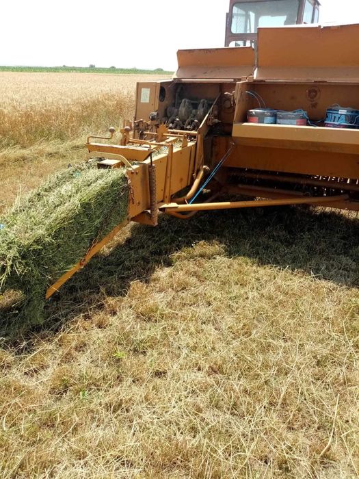 Baloți lucernă și ovăz