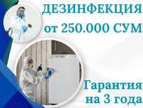 Служба по уничтожение клопов тараканов блох Dezinfeksiya tarkan klapa