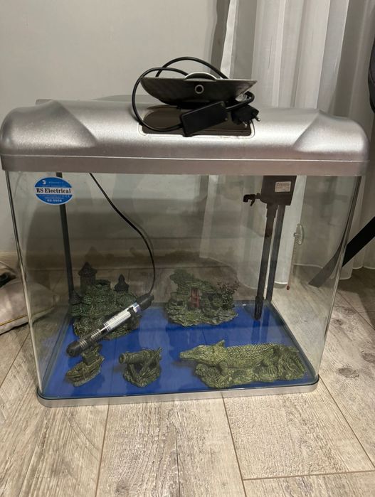 Оборудван аквариум за риби