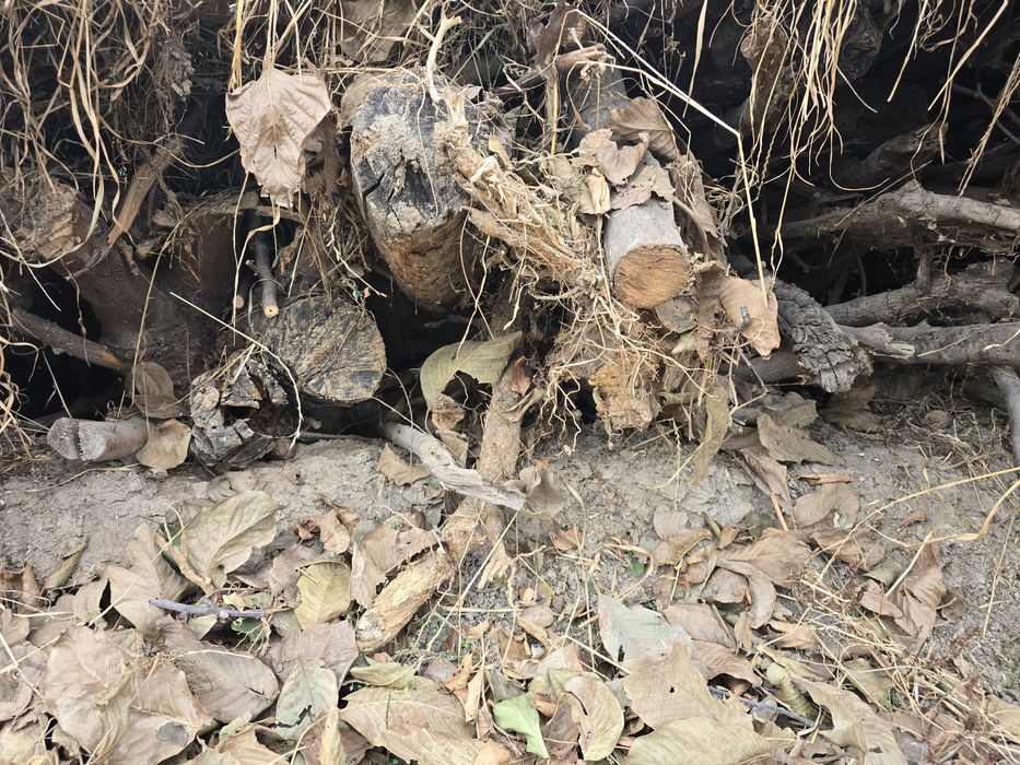 Дрова дров утин otin utin