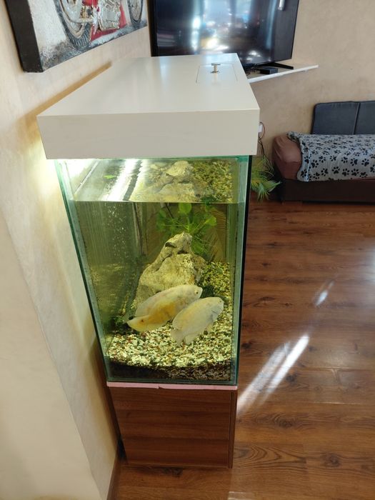 Аквариум с шкаф ш40 см 55см 80см аквариум 40см.   80см. В 80см.