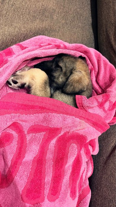 Подарява се бебе момиче