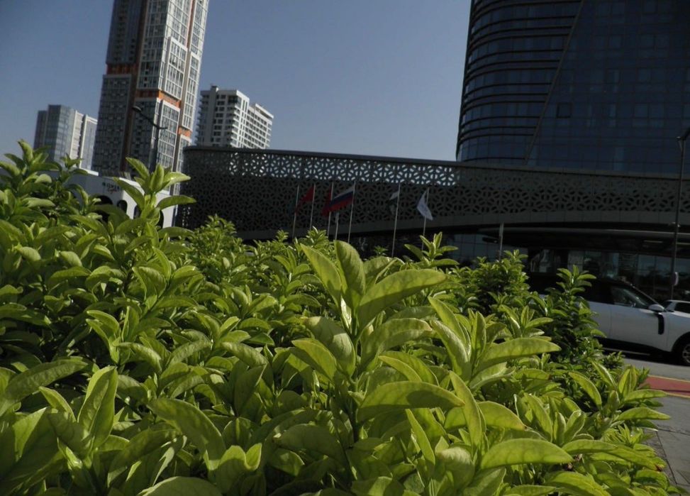 Фотоаппарат цифровой Olympus fe5020. Полный комплект