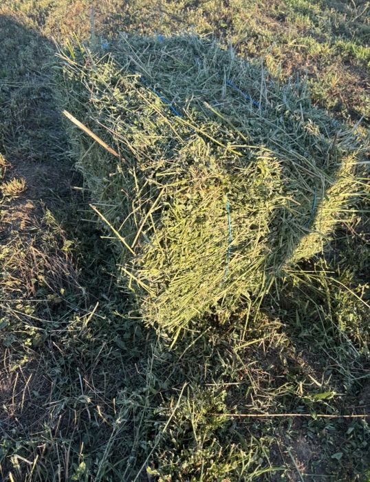 Vand baloti de lucerna