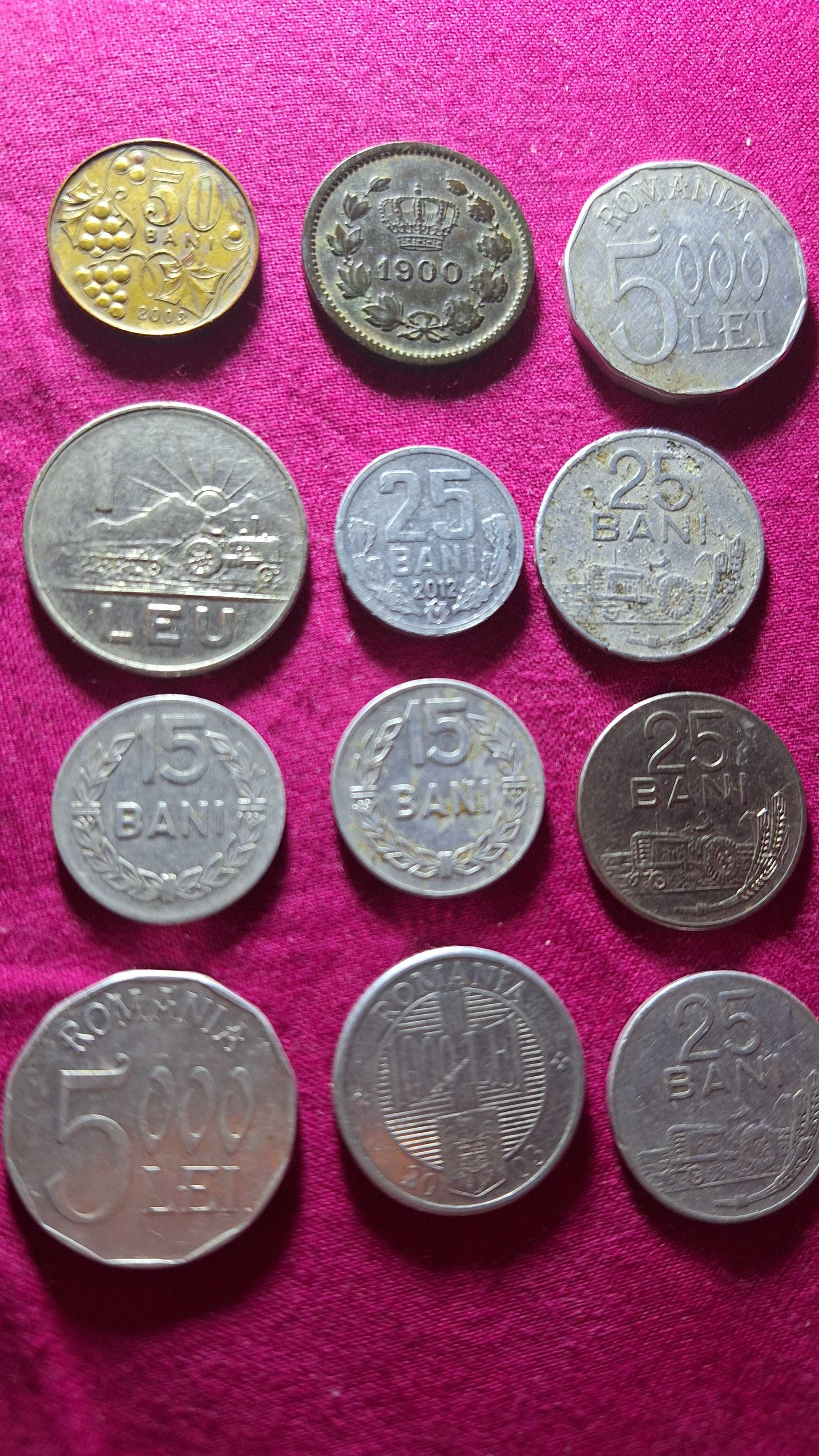 Bocnote și monede