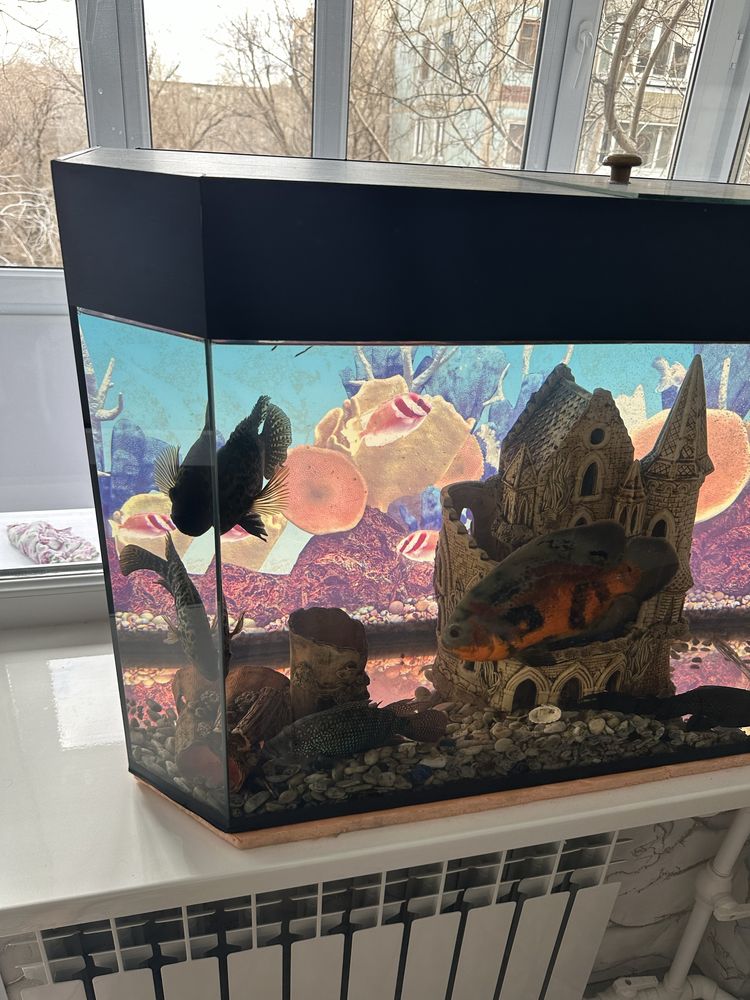 Продам красивый аквариум