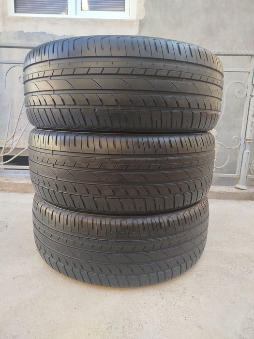 255 55 R19 Shina Gopro 3 dona