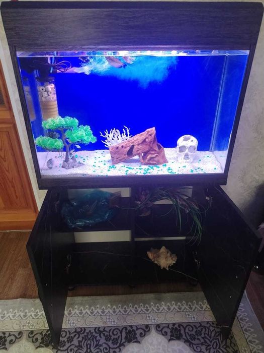 Продам аквариум со всеми прибамбасами