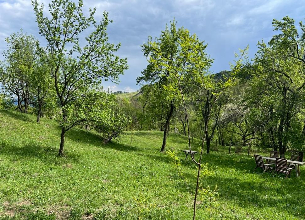 Teren de vis cu cabană, 3300 mp – Sotrile, Valea Doftanei