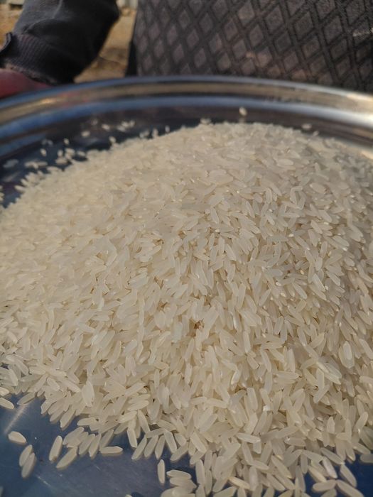 Олий навли хоразм гуручлари