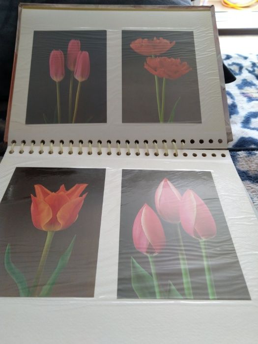 Альбом с наборами тематических открыток - тюльпаны, кошки, дикие живот