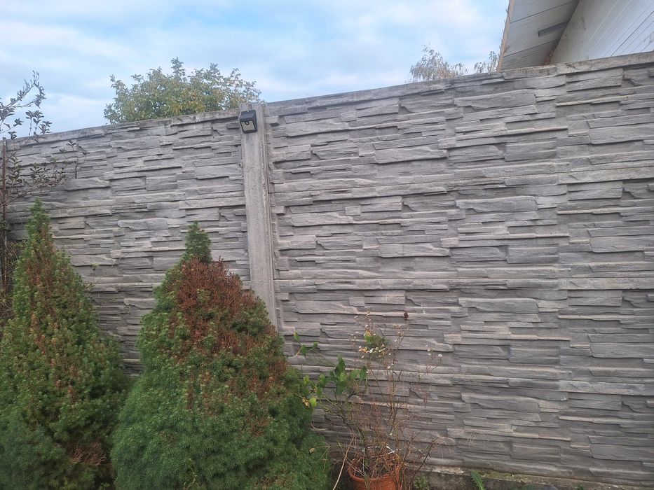 Vand gard placi beton
