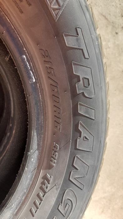 Зимние шины Triangle