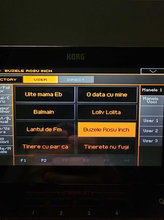 Set Korg PA4X Personal