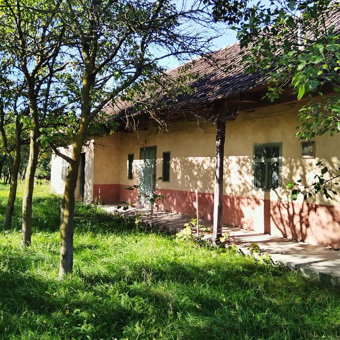 Casă de vânzare.