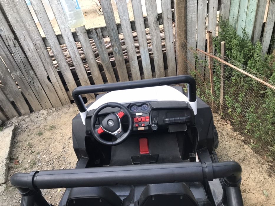 Buggy S2588.        ?!