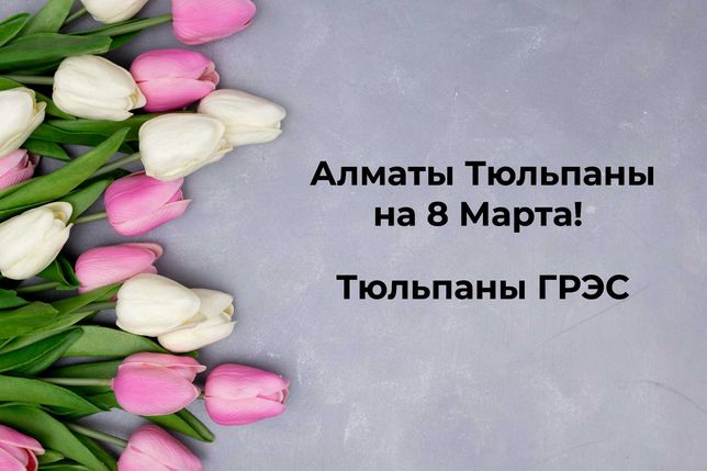 Алматы лучшие тюльпаны, Оптом и в розницу!