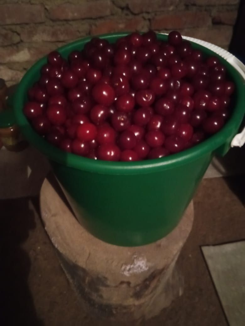 Вишню 5 литров продам