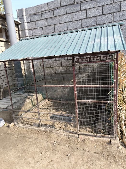 Tovuq va qushlarga moslansanbõladi