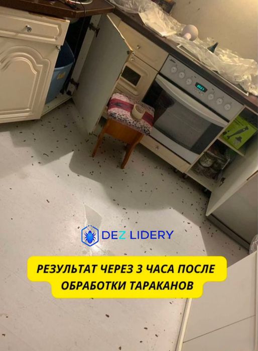 Дезинфекция клопов Тараканов жук короед блоха мышь тышқан қандала