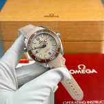 omega seamaster planetocean new model