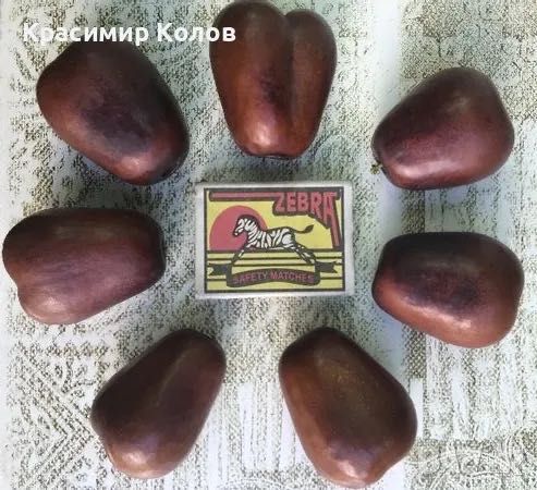 Китайска фурма, Хинап, плодове, лечебни растения