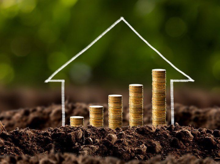 Uzoq muddatli halol investor izlayapman.