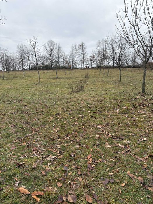 Teren Intravilan Baia de Fier