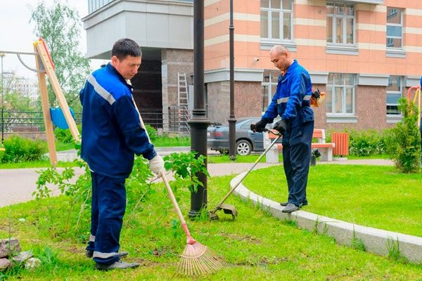 Уборка территории Покос травы спил деревьев стрижка кустарников газон
