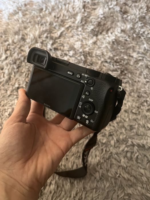 Sony a6600 mirrorless