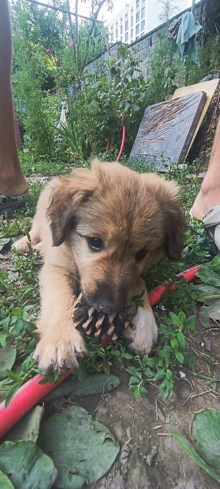 Малыши ищут новый дом