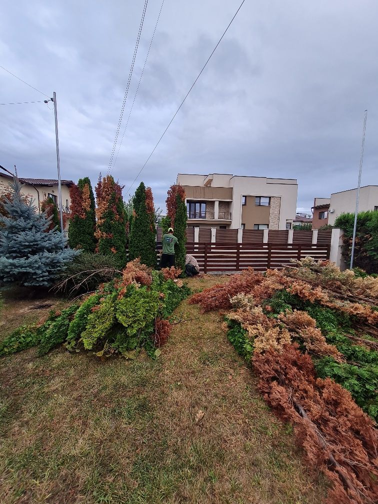 Amenajari gradini și spatii verzi, constructii interioare și ext