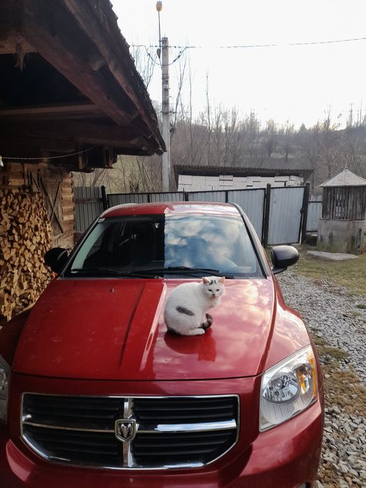 Masina Dodge rosie caliber