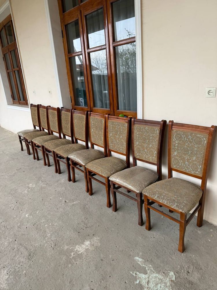 Arenda/Ijaraga stol stul/Naves zontik/Ventilyator