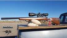Pusca Airsoft FullMetal WOOD WELL PutereMAXIMA 7jouli Manuala