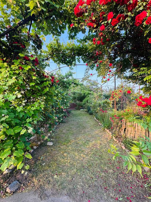 Casa spatioasa 5 camere + teren mare (43 ari) in Halmeu –125.000€