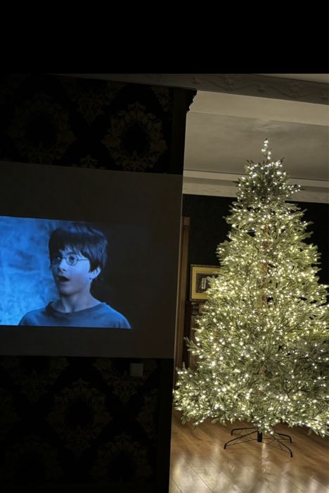 Продам Лесную ель