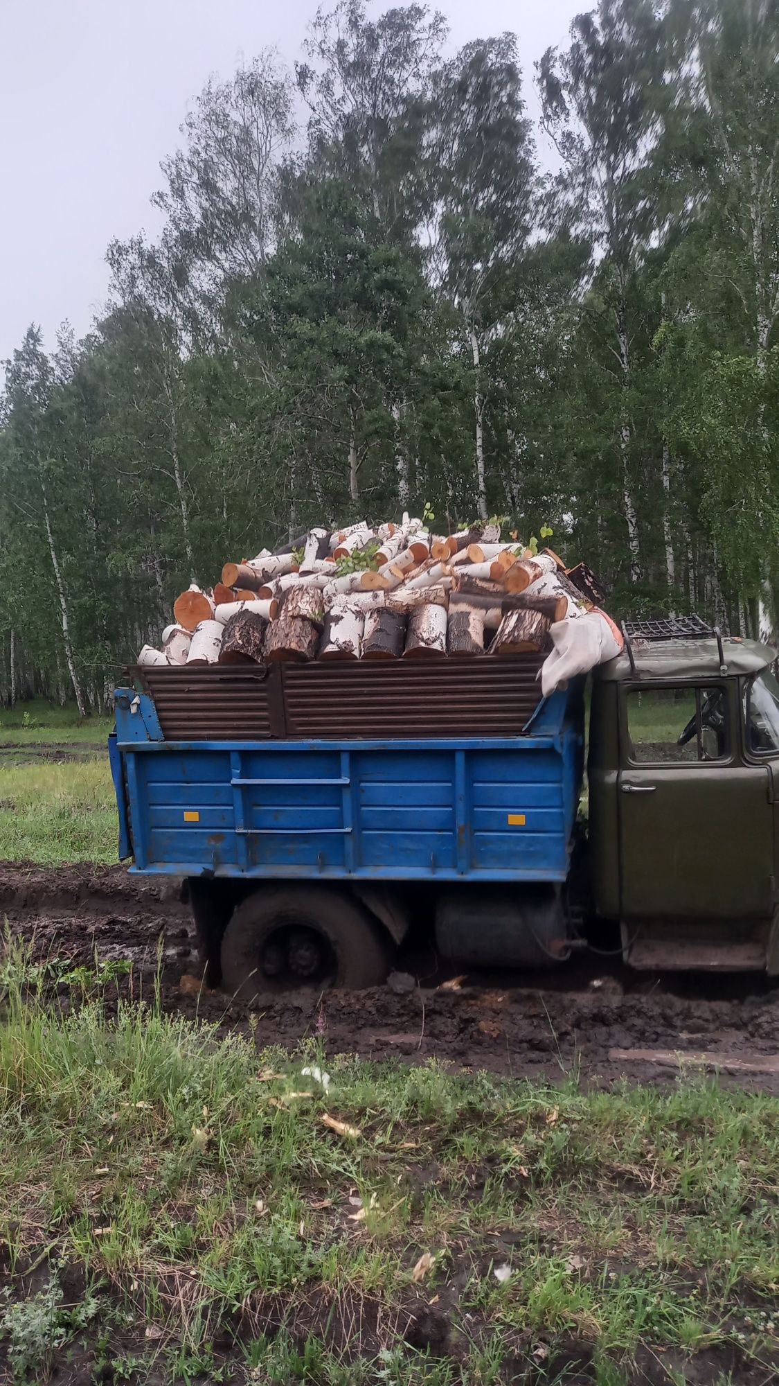 Дрова колотые/швырок