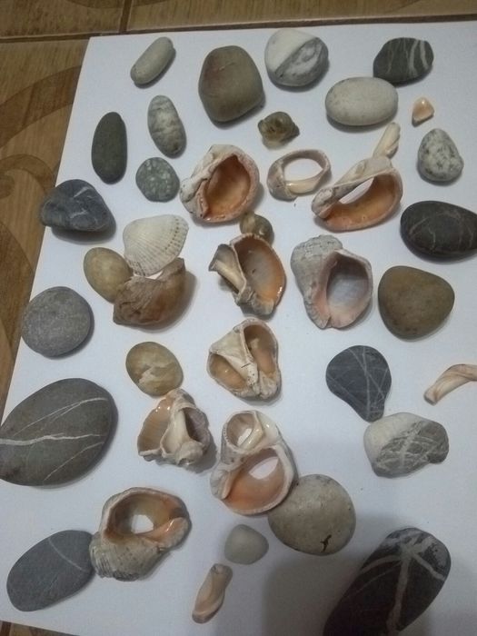 Декор д.аквариума.Камни с Черного моря. г. Астана