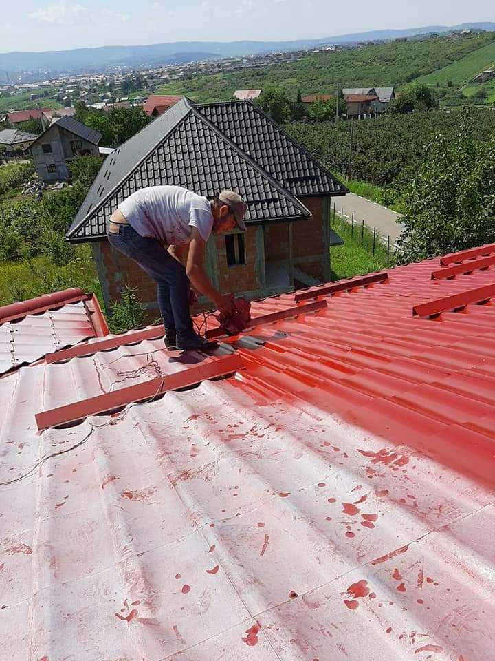 Vopsim orice tip de tabla pe acoperis la casa, garduri, alte suprafete