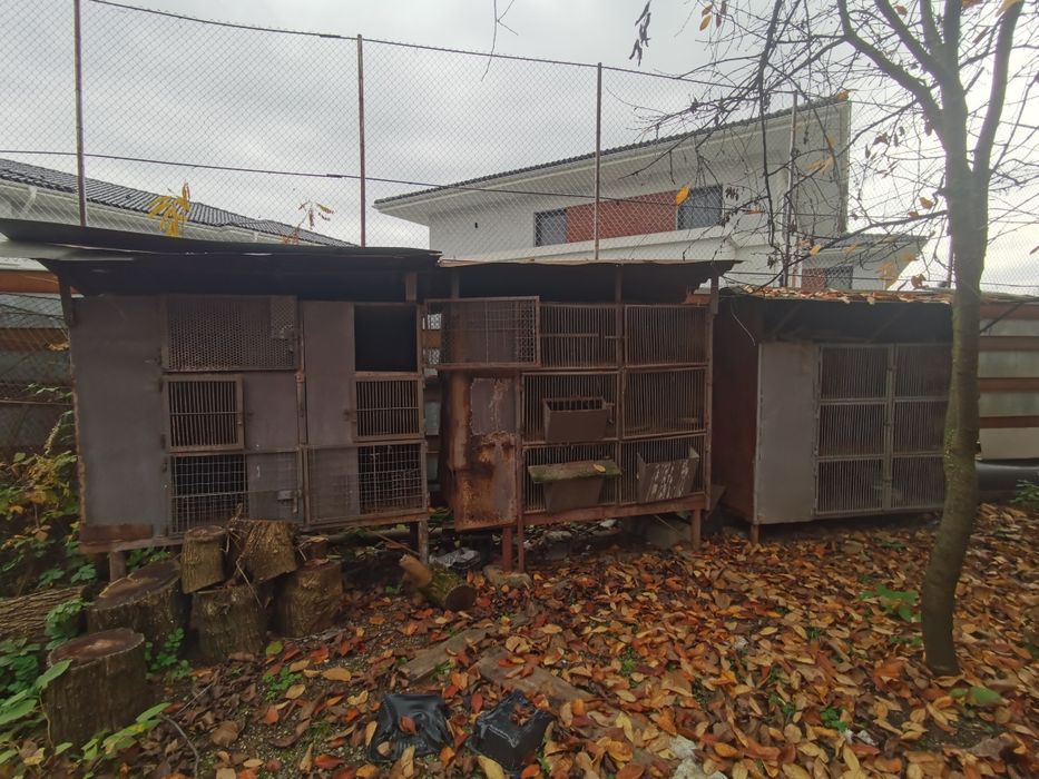 Vand 3 custi pentru iepuri