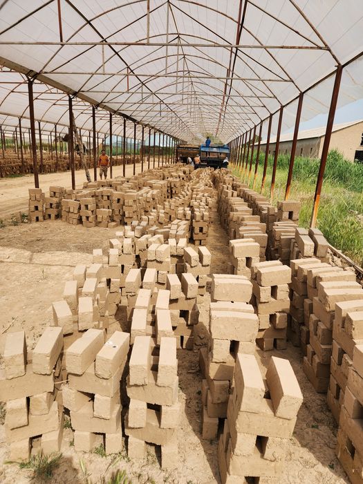 Hom gish va pishgan gish